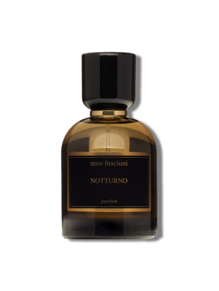 Meo Fusciuni — Notturno